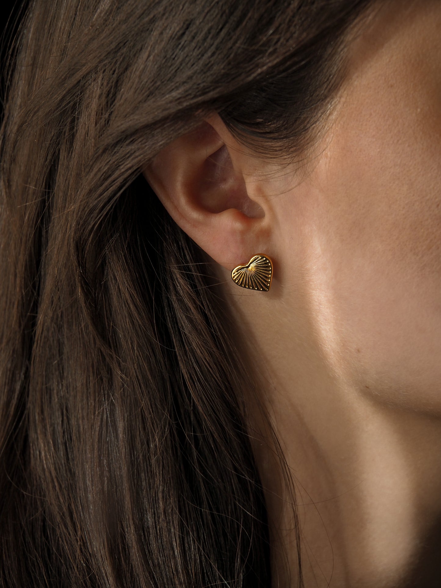 Earrings Daily Hearts