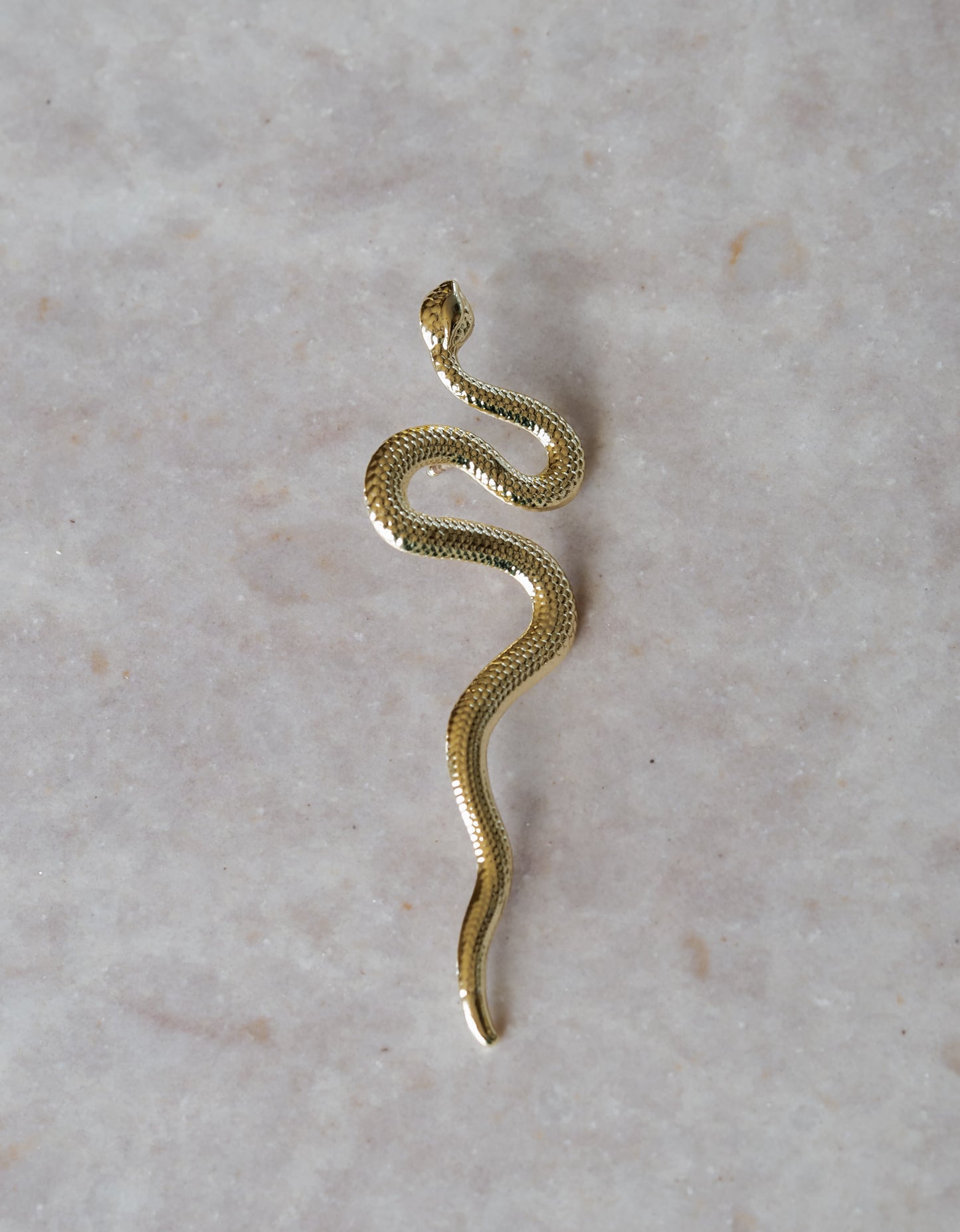 Broche Golden Snake